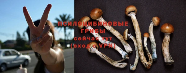 не бодяженный Нягань