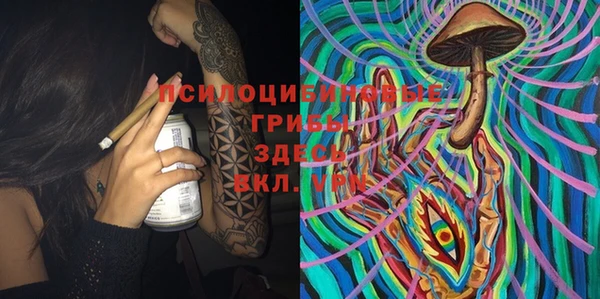 ПСИЛОЦИБИНОВЫЕ ГРИБЫ Няндома