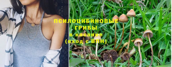 ПСИЛОЦИБИНОВЫЕ ГРИБЫ Няндома