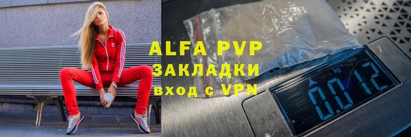 ПСИЛОЦИБИНОВЫЕ ГРИБЫ Няндома