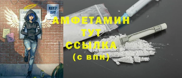ПСИЛОЦИБИНОВЫЕ ГРИБЫ Няндома