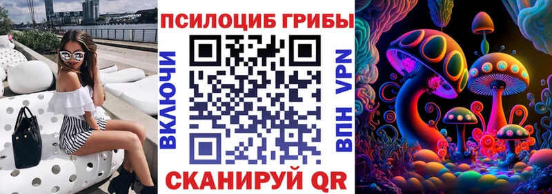 Псилоцибиновые грибы MAGIC MUSHROOMS  блэк спрут как зайти  Южноуральск 